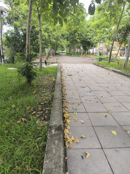 Đi đến slide 5