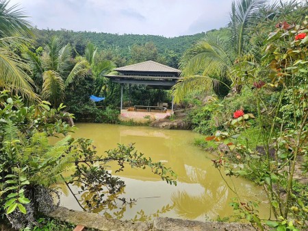 Đi đến slide 2