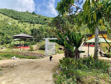GIÁ KHÓ TIN: 320 TRIỆU SỞ HỮU NGAY 1.000M² NHÀ VƯỜN THỔ CƯ, CÓ AO, CÓ SUỐI!