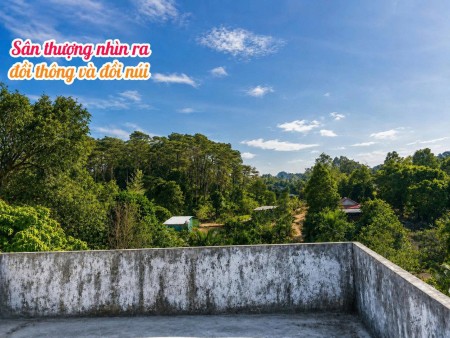 Đi đến slide 7