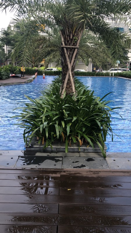 Đi đến slide 7