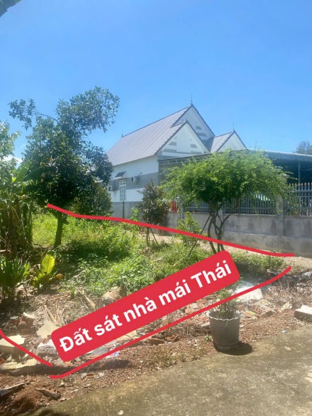 Cần tiền bán gấp lô đất 528m2 có thổ cư ngay chợ Phú Giáo - Tp.Hồ Chí Minh giá ngộp 540tr