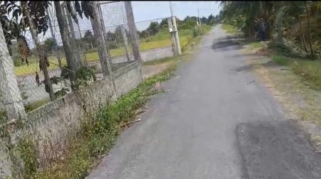 Bán Nhà Vườn 12.000m2, Giá 29.5 Tỷ, Kênh 12, Xã Lê Minh Xuân Bình Chánh