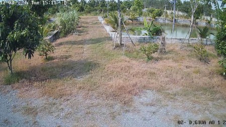 Đi đến slide 7