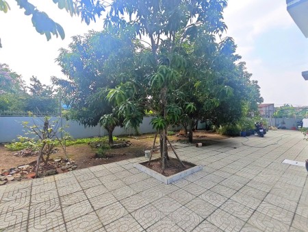 Bán Biệt Thự Sân Vườn Mặt Tiền Tân Thới Nhì, Hóc Môn – 410m², Đậu 4 Ô Tô