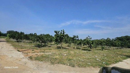 Bán Đất 177.3m2 có sẵn 50 m2 thổ cư giá 230 triệu tại Xã Bảo Hiệu Huyện Yên Thủy Hòa Bình