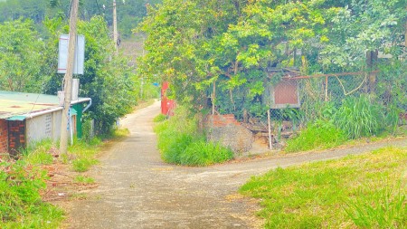 Đi đến slide 3