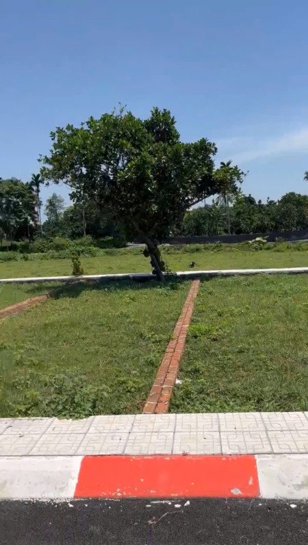 Đi đến slide 12