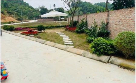 Đất 52.5m2 có sẵn 50 m2 thổ cư giá 245 triệu tại Xã Cao Dương Huyện Lương Sơn Hòa Bình