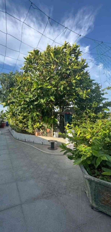 Đi đến slide 6