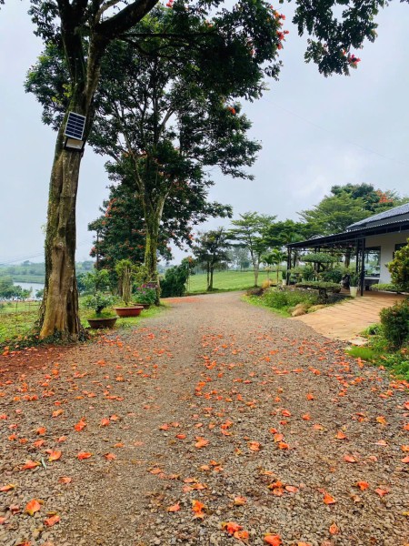 Đi đến slide 10