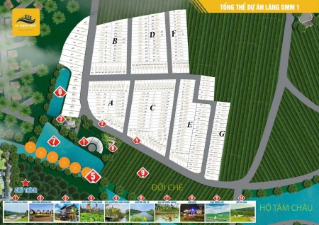 Đi đến slide 10