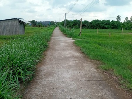Chính chủ bán đất 563m² có 160m² thổ cư, đường ô tô tại xã Tân Phú, Tân Phú Đông