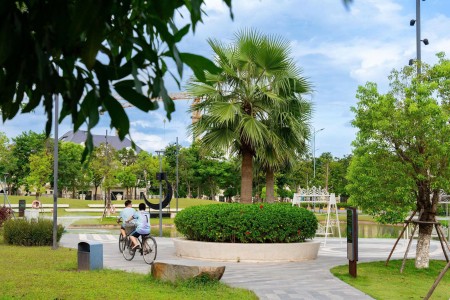 Đi đến slide 8