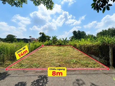Lô đất xây biệt thự mini đẹp. Ngang 8 dài 14