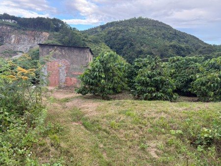 Đi đến slide 8