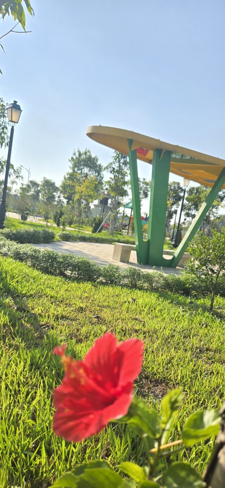 Đi đến slide 3