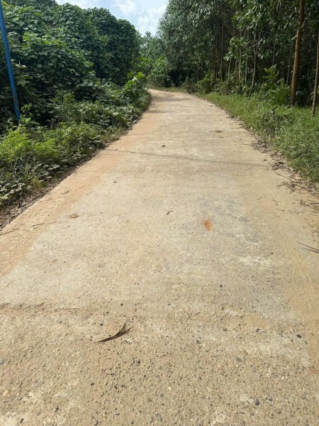 Đi đến slide 7