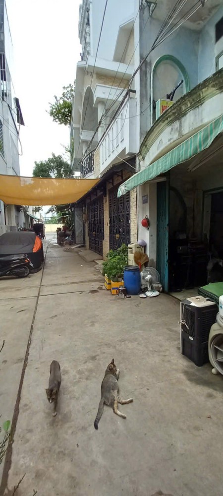 Đi đến slide 4