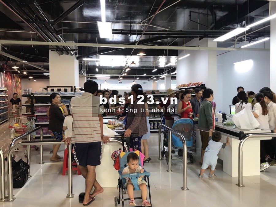 Chung Cư Tecco Town Bình Tân Cho Thuê Căn Hộ Mới và CH Full Nội Thất Giá Rẻ Chỉ Từ 5,5tr
