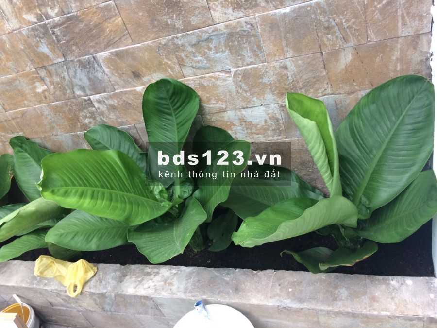 Nhà mới hẻm ô tô 12m - Bình Lợi - Trệt, 3 lầu, 4PN - đầy đủ tiện nghi, khu nhà phố dự án, dân trí cao