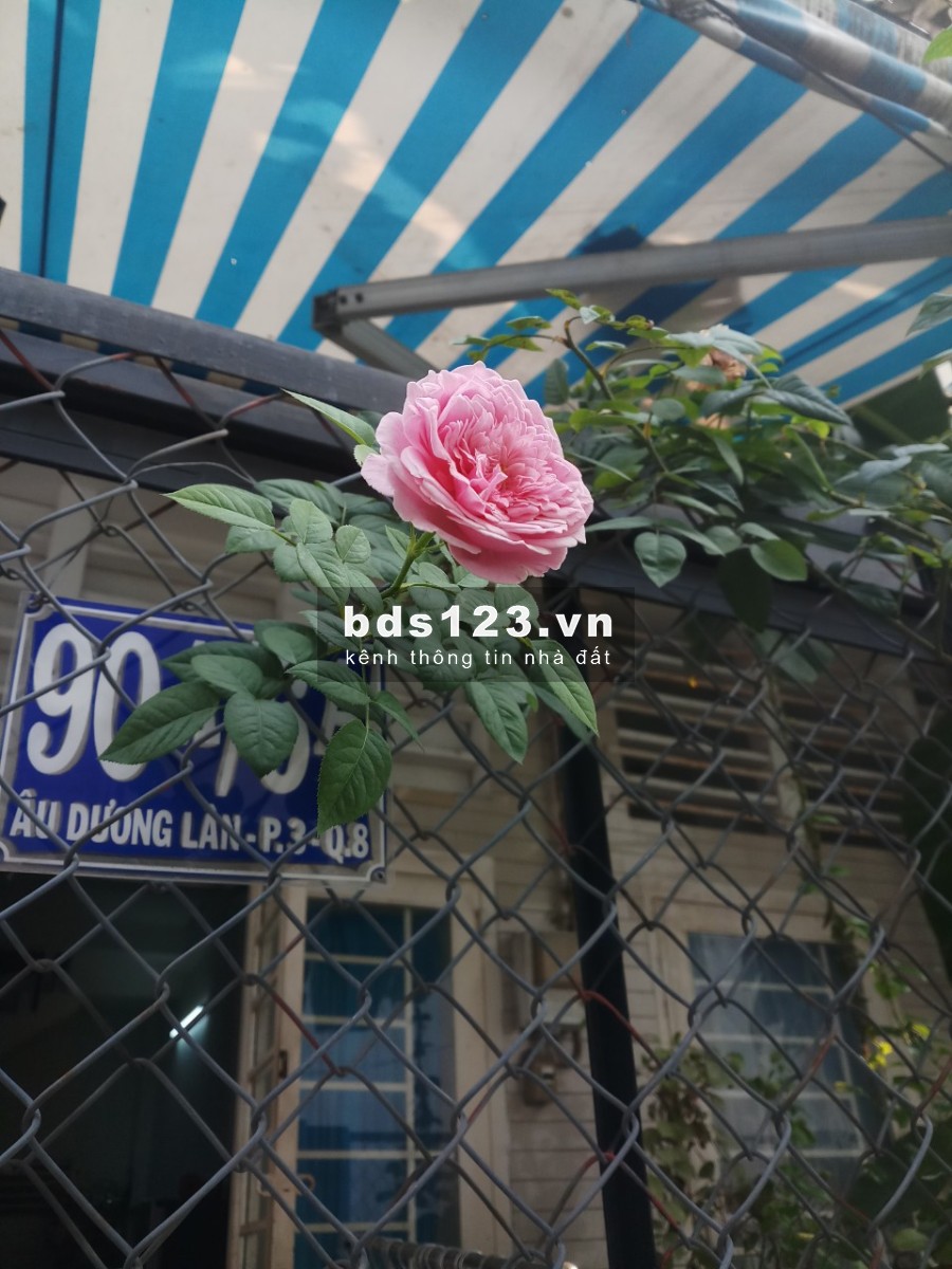 Tìm nữ ở ghép nhà nguyên căn 1 trệt 2 lầu quận 8