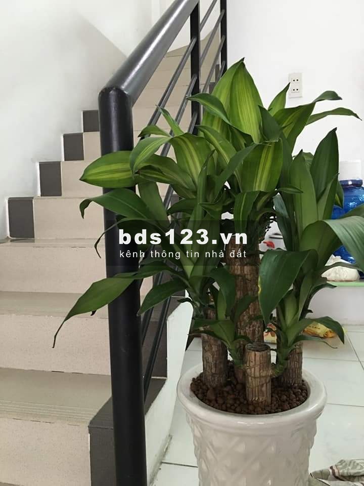 Tìm nữ ở ghép nhà nguyên căn 1 trệt 2 lầu quận 8