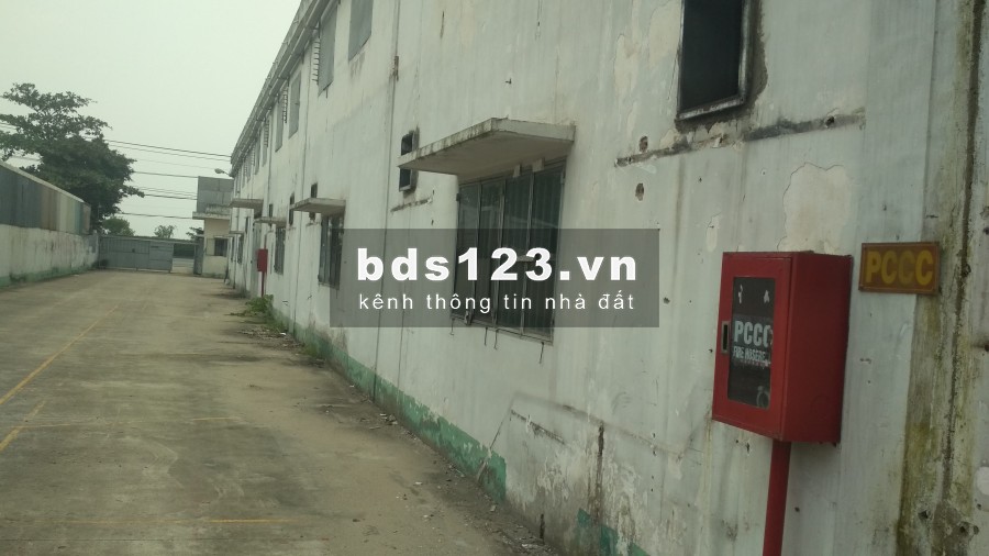 Cần cho thuê kho xưởng 2 mặt tiền Quốc Lộ 22, Hóc Môn, 3.600m2, giá cạnh tranh của khu Hóc Môn