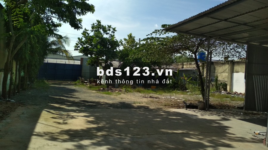 Cho thuê kho xưởng 2 mặt tiền đường Trần Văn Mười, Hóc Môn, diện tích 2.499m2, giá tốt