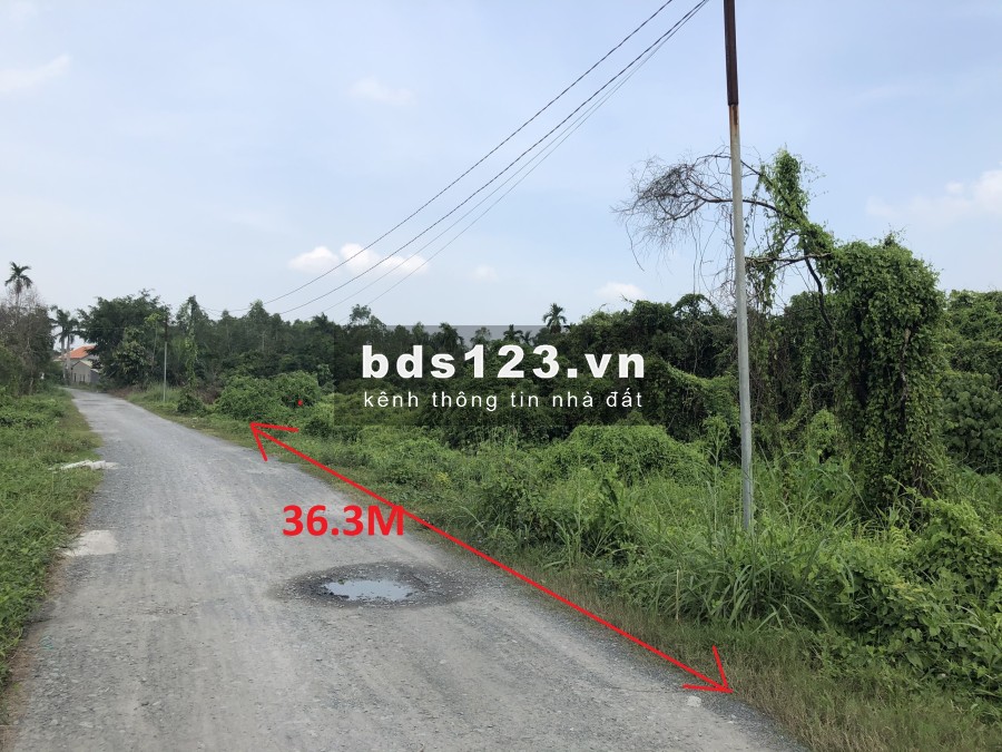 BÁN 3000M2 ĐẤT MẶT TIỀN ĐƯỜNG BỜ SÔNG TẠI CẦU RẠCH TRA, BÌNH MỸ, CỦ CHI (LIỀN KỀ HÓC MÔN)