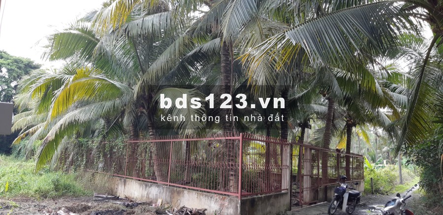 Bán gấp hơn 500m2 đất Nhị Bình 2 SHR mở đường 10m giá tốt