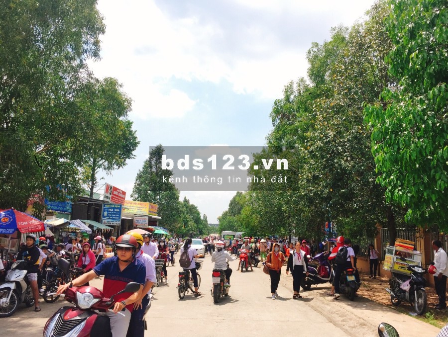 Gia đình tôi cần bán gấp 300m2 đất thổ cư 100%, sổ hồng, đường 16m ra kcn Việt Hàn Bình Dương
