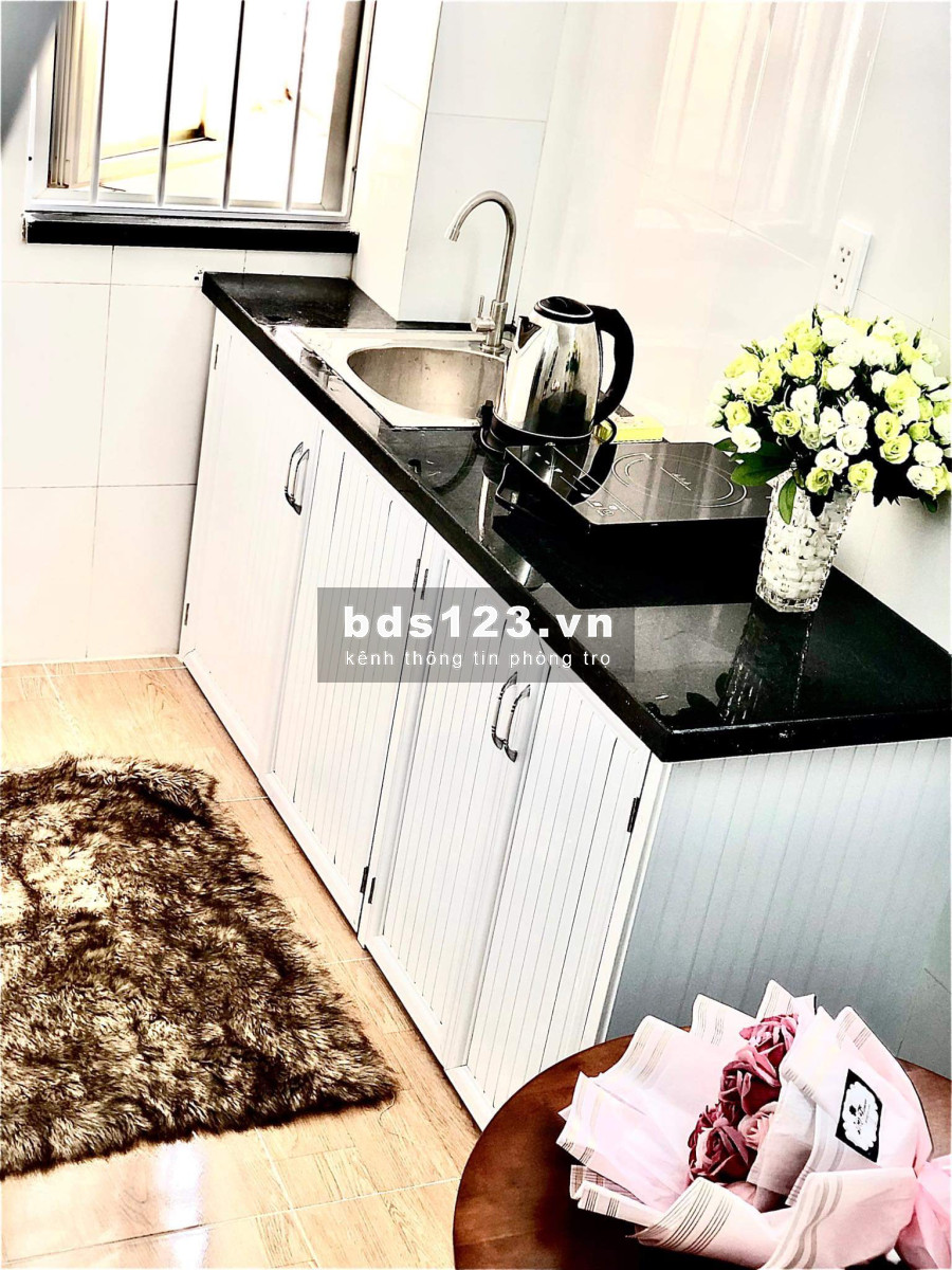 Cho thuê căn hộ đầy đủ nội thất đường Bùi Đình Tuý,Mới 100%