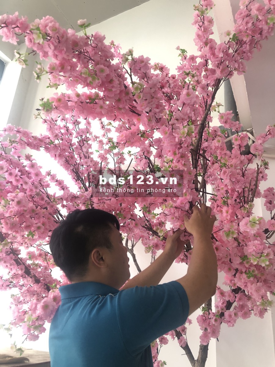 Cho thuê căn hộ đầy đủ nội thất đường Bùi Đình Tuý,Mới 100%