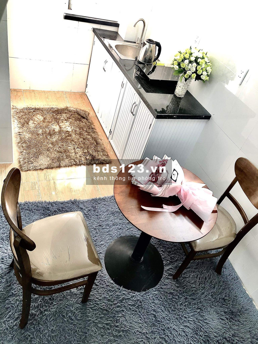 Cho thuê căn hộ đầy đủ nội thất đường Bùi Đình Tuý,Mới 100%
