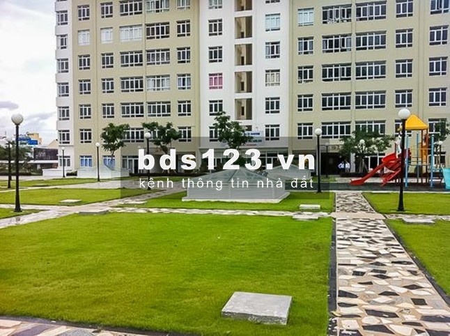 Cần nữ thuê giừơng ký túc xá chuẩn 3sao có hồ bơi Q8