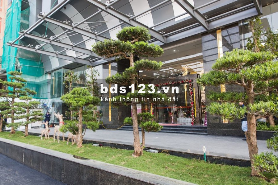 Cần cho thuê căn hộ tháp doanh nhân 65 m2 thiết kế 2 phòng ngủ