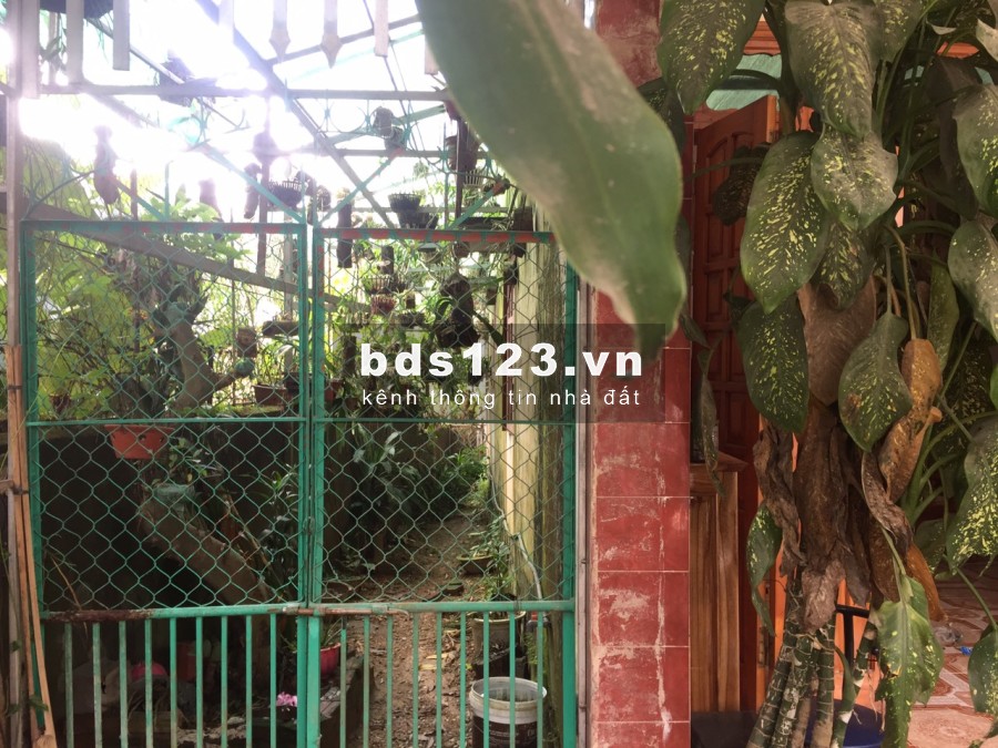 Bán nhà 2 tầng 360m2 Tổ 10 TTNT Trần Phú, Văn Chấn, Yên Bái 1,6 tỷ