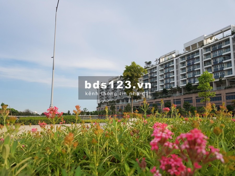 Cần cho thuê 2 căn Shophouse Sala Đại Quang Minh Quận 2