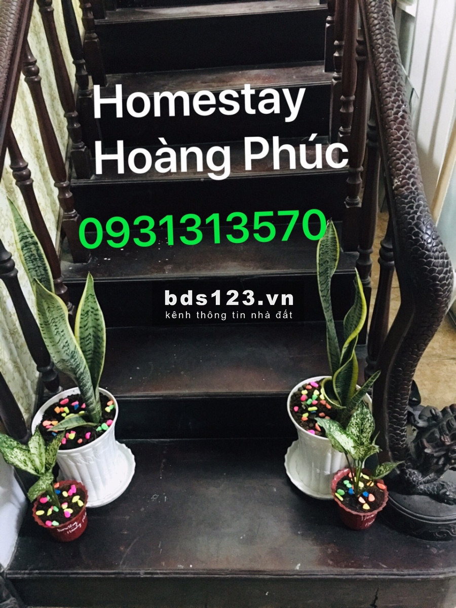 Hệ thống KTX Q4 Cao cấp trọn gói 800K