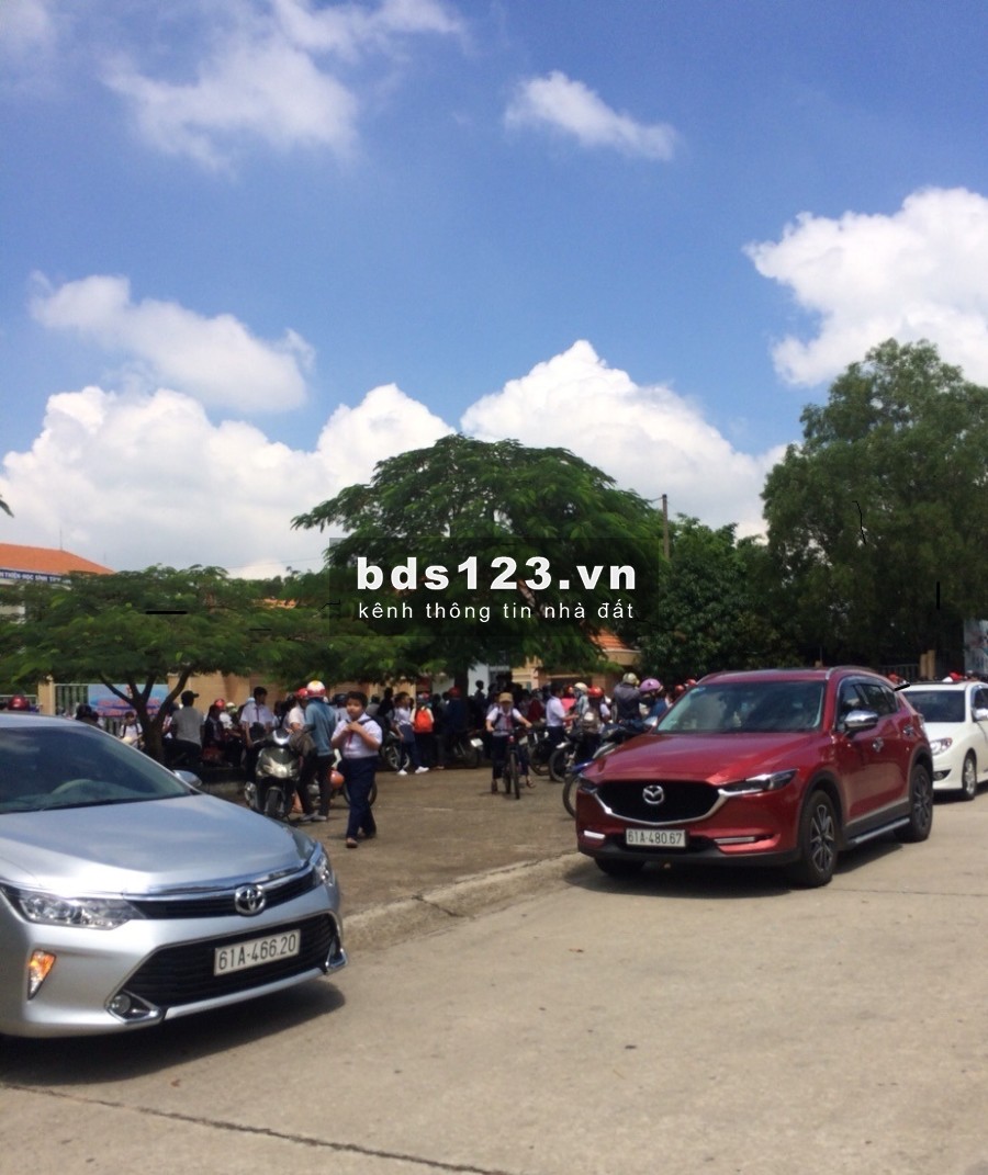 Vợ chồng cần bán gấp 300m2 đất thổ cư, sổ hồng mặt tiền Chợ Bình Dương