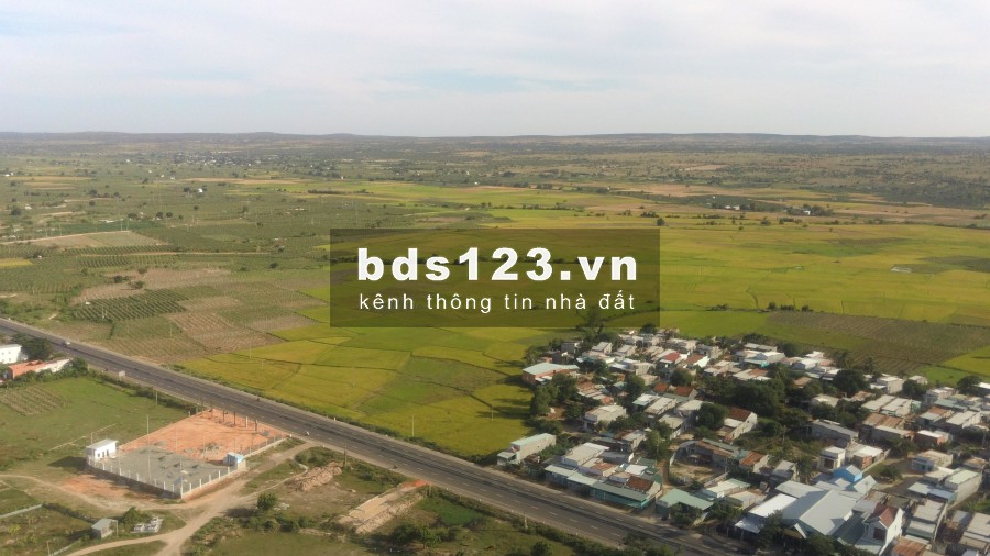 Cần bán ngay 1ha đất trồng cây giá 700tr