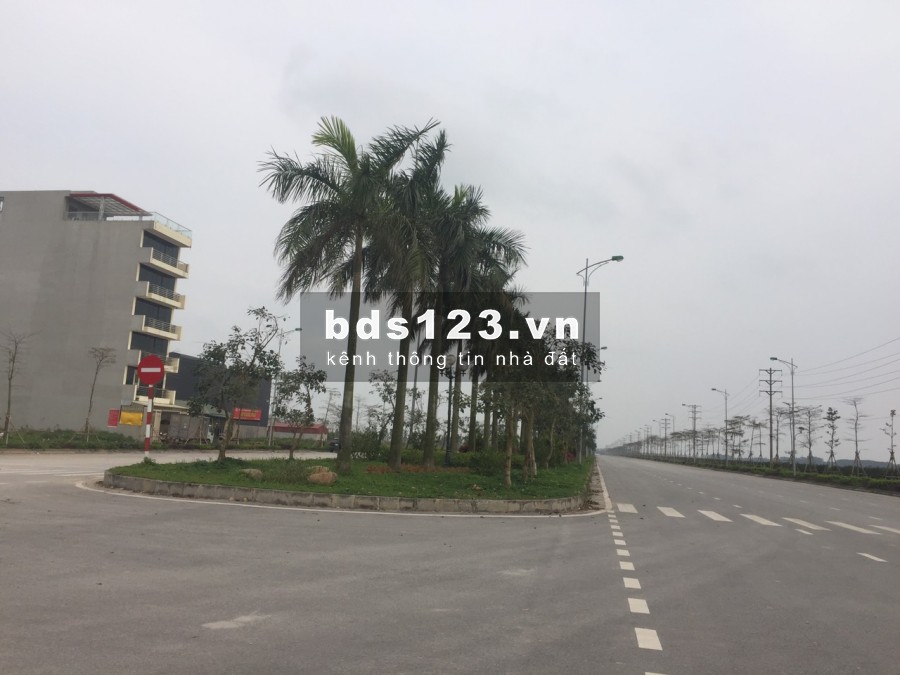 BÁN ĐẤT TẠI KHU A GIAI ĐOẠN 1 DỰ ÁN V-GREENCITY PHỐ NỐI HƯNG YÊN