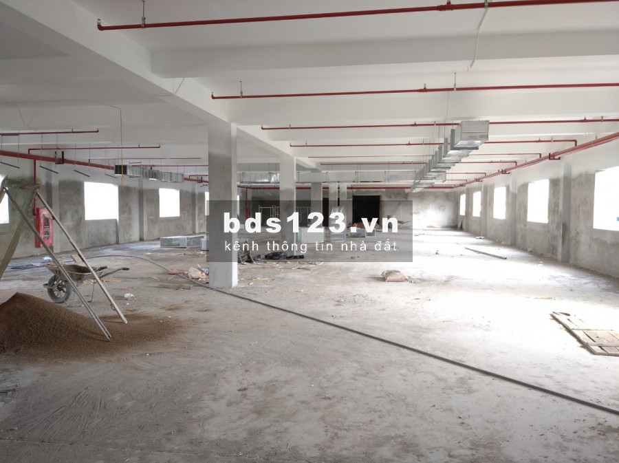 Chính chủ cho thuê kho xưởng 1200m2 x 2 tầng tại cụm công nghiệp Dương Liễu, Hoài Đức