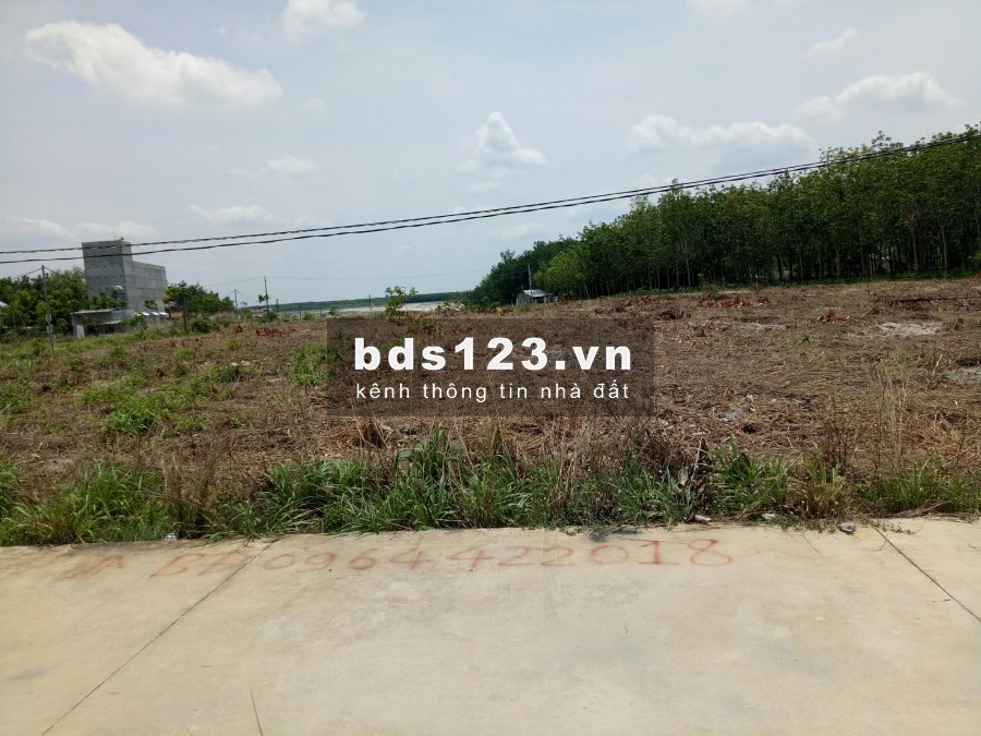 Tôi bán Đất trung tâm hành chính, sát chợ dt 2000m² sổ hồng sẵn 550 triệu