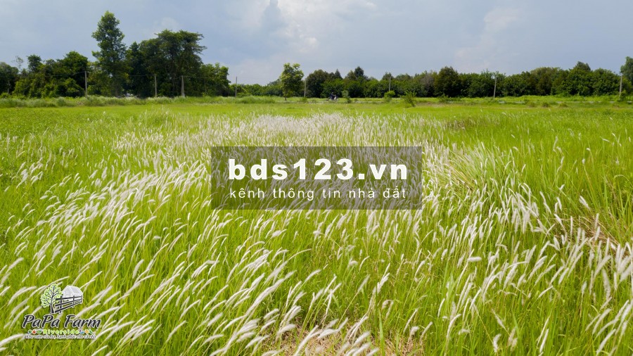 Bán đất vườn cạnh sông Sài Gòn. 1.8tr/m2