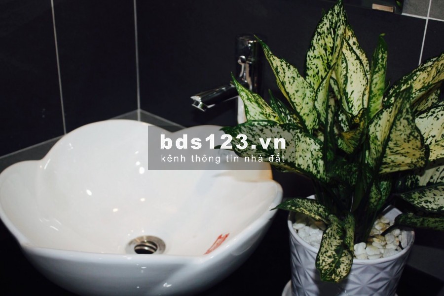 Cho thuê căn hộ studio full nội thất tại Tân Bình