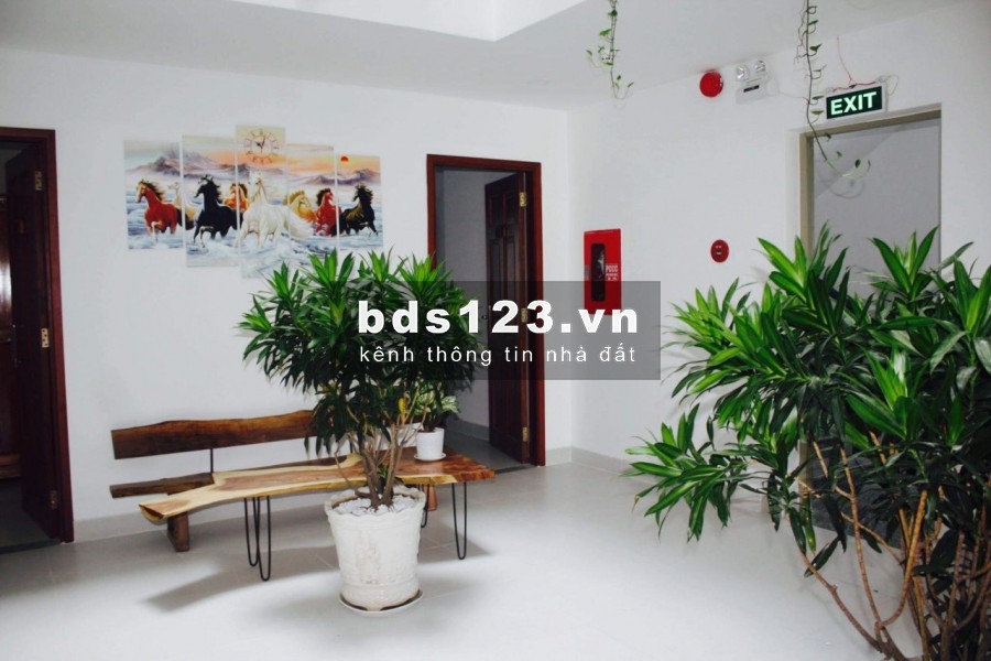 Cho thuê căn hộ studio full nội thất tại Tân Bình