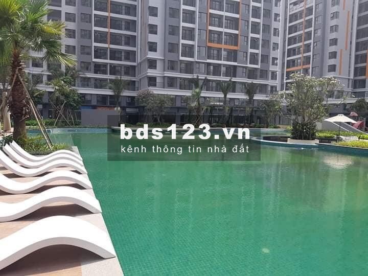 SAFIRA KHANG ĐIỀN CẬP NHẬT RỔ HÀNG CHO THUÊ VÀ CHUYỂN NHƯỢNG MỚI NHẤT, LH: 0902305909