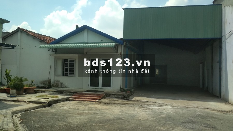 Cho thuê nhà xưởng đường Thanh Niên, Hóc Môn, diện tích hơn 11.000m2, giá tốt nhất Hóc Môn